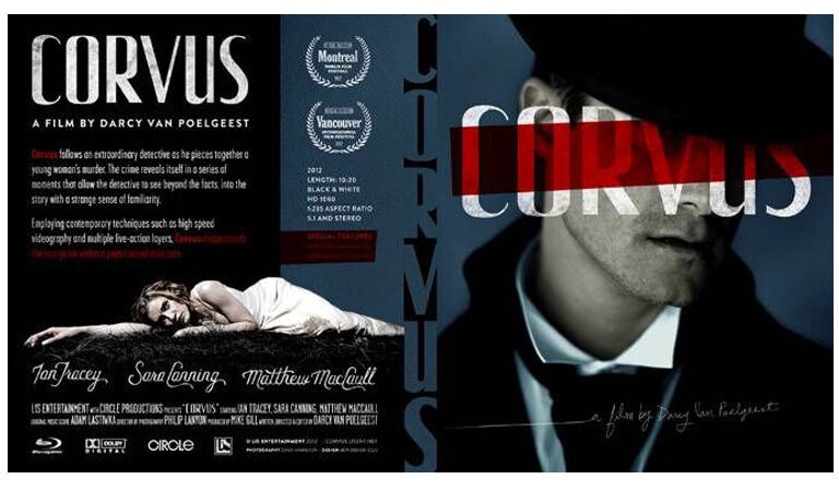 نمونه تراکت تبلیغاتی - از رنگ‌های تیره استفاده کنید