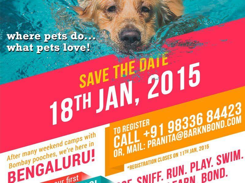 نمونه تراکت تبلیغاتی - با کارت‌های جذاب بازی کنید (از گزینه‌های جذاب استفاده کنید)